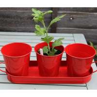 GALVANIZED ZINC METAL HERB FLOWER POTS PLANTER SET OF 3 ON TRAY